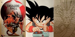 Le-Grand-Livre-de-Dragon-Ball