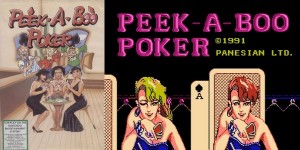 peekaboopoker-nes-une