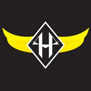 holdies logo