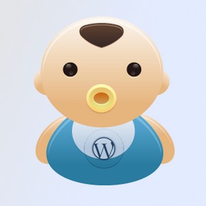 theme enfant wordpress